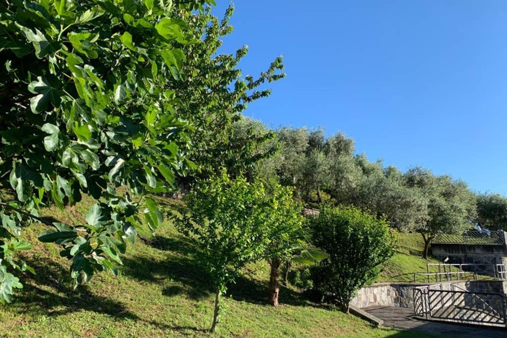 Cozy House On Iseo Lake Fonteno Luaran gambar